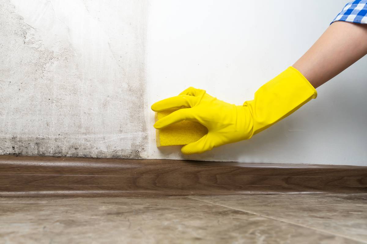 Cleaning Dirty Wall