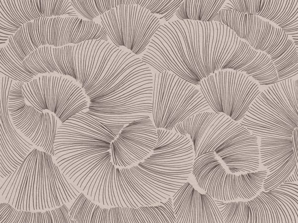 Aerisca, Soft Neutral Brown Petal Drift Wallpaper Mural