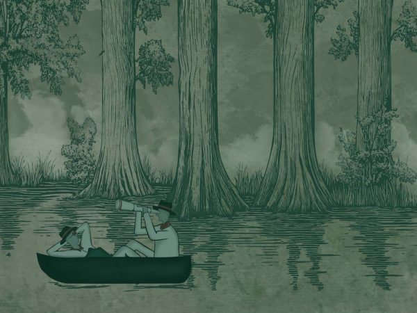 Jungle Drift, Adventurers Adrift in a Storybook Woodland Wallpaper Mural