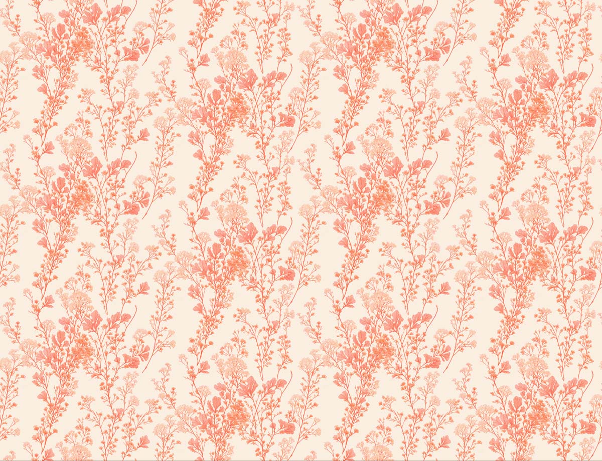 Peach Blossom, Gentle Floral Sprig Wallpaper