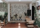 Whispering Willow, Songbird Botanical Wallpaper Mural