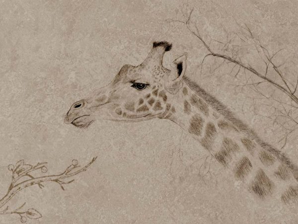 Serengeti, A Classic Sketch From The Heart of The Wild Mural